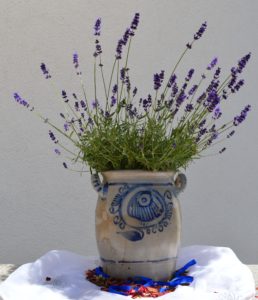 Fragrant Houseplant 1: Lavender