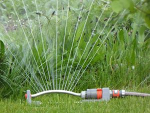 DIY Yard Design: Think of Water Needs