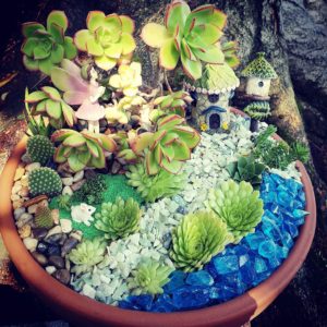 Succulents, Tiny Gardens, & Terrariums