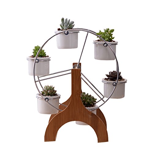 Indoor Plant Pots 5: Ferris Wheel Succulent Pot Holder