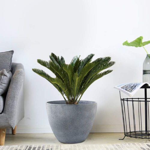 Indoor Plant Pots 8: Unbreakable Resin Plant Containers
