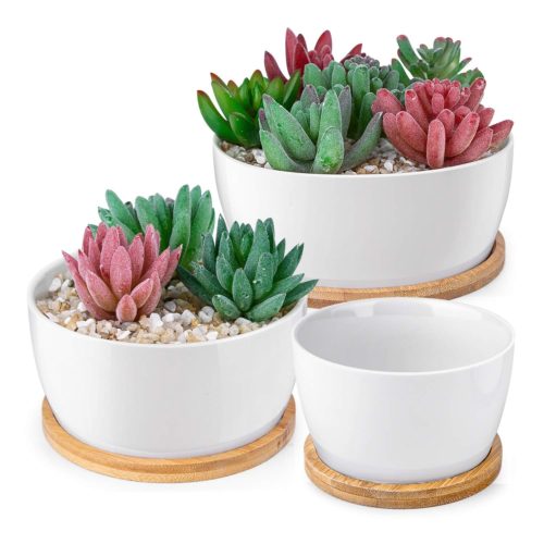 Indoor Plant Pots 6: Ceramic Succulent Planter with Bamboo Drainage Trays