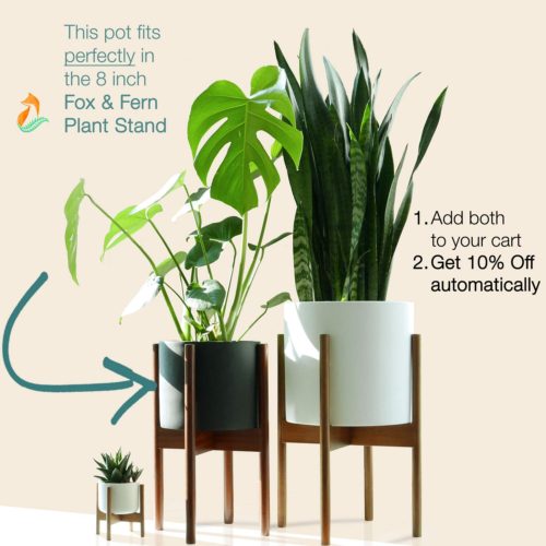Indoor Plant Pots 10: Modern Plant Stand Pots