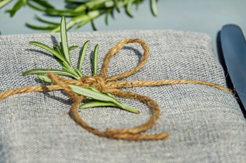 Indoor Rosemary Plant Care: Additional Tips