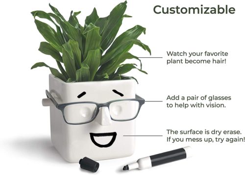 Gifts for a Plant Lover: 1 - Face Pot