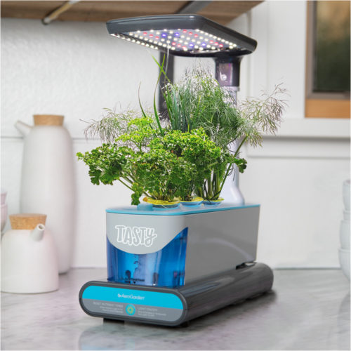 Indoor Herb Garden Kit Tasty Sprout by Aerogarden & Tasty