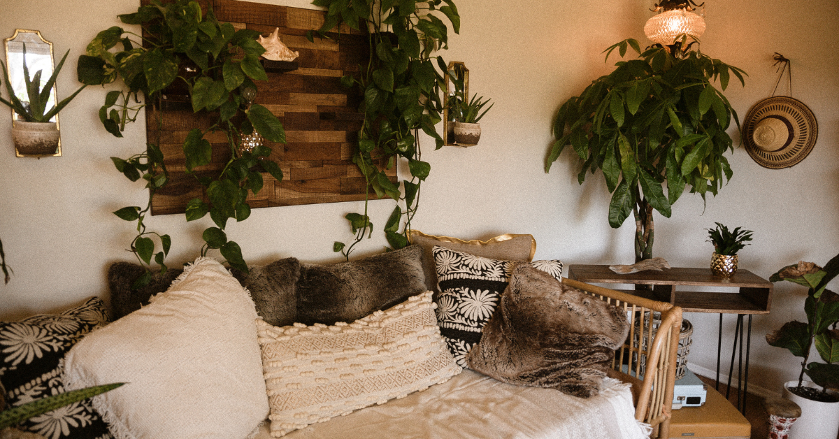 The Complete Guide to Houseplant Lighting (for Beginners!)