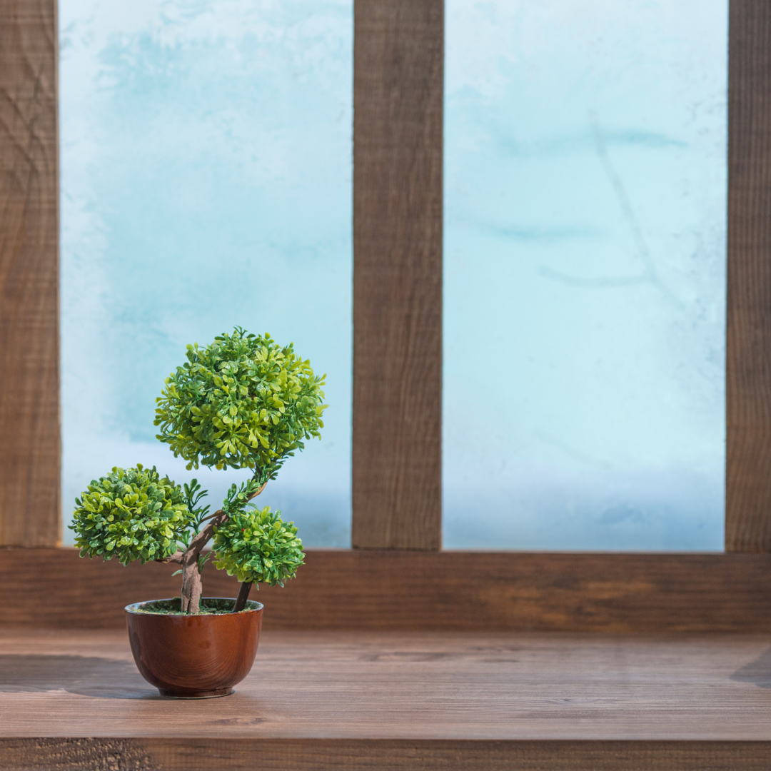 An indoor plant on a window sill with snow outside