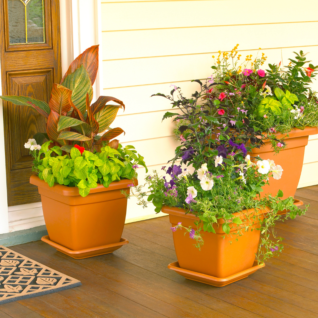 Plants sitting on a patio next to a door