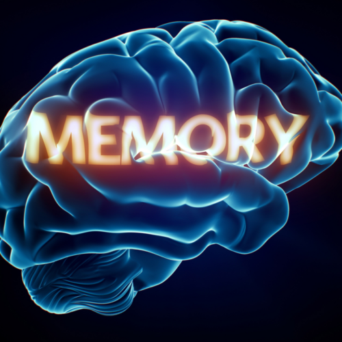 An image of a brain and the word memory