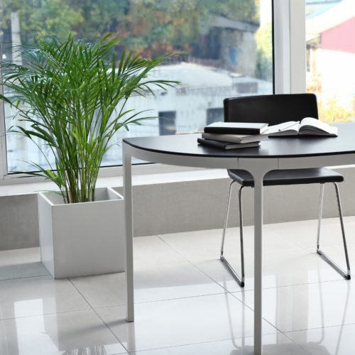 Office desk with a areca palm next to it